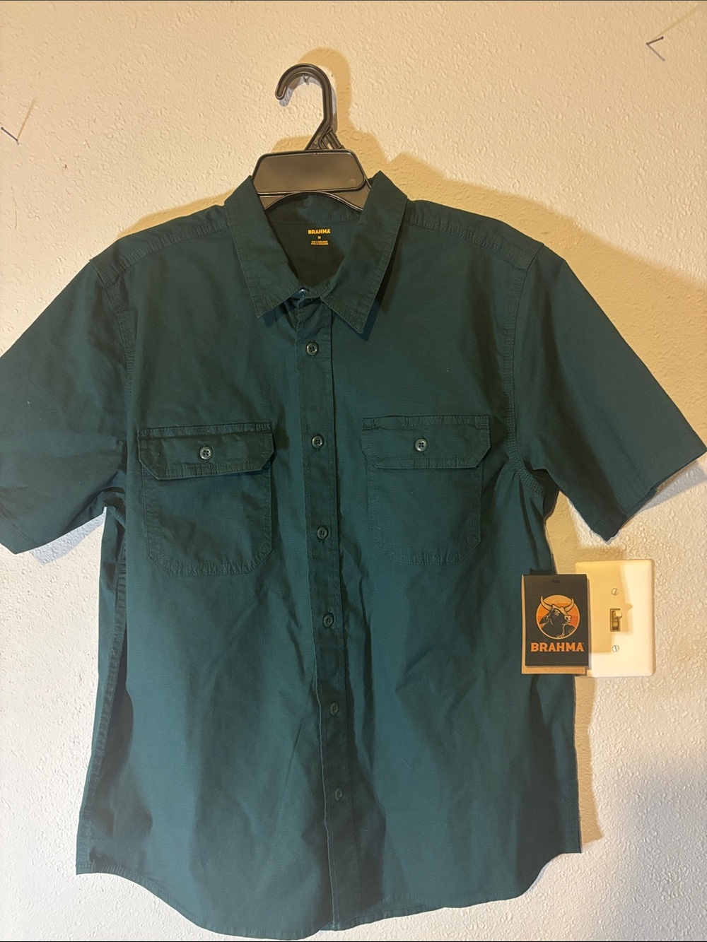 Brahma Men's Short-Sleeve Button-Up Shirt in Teal Green